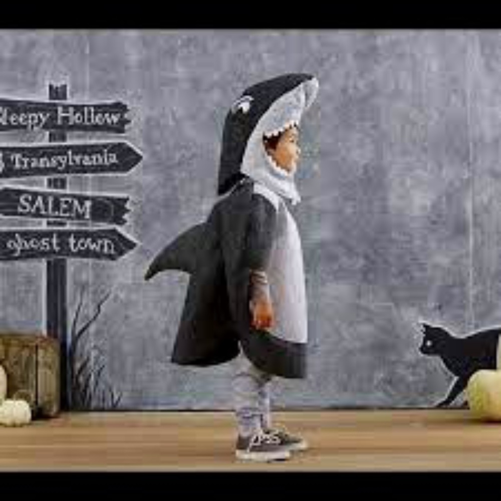 Pottery Barn Kids Shark Costume 2t-3t (Minor Stain on teeth in photo)